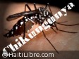 Haïti - Santé : Chikungunya 14 cas confirmés au pays