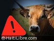 Haiti - Health : Anthrax Cases reported in Petit-Goâve