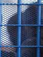 Haiti - Justice : $ 5,6M for a prison in Fort-Liberté
