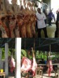 Haïti - Agriculture : Vers la modernisation des abattoirs