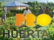 Haïti - Agriculture : Véritable succès du Programme ProHuerta en Haïti