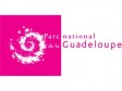 Haiti - Environment : End of mission of a Haitian delegation in Guadeloupe