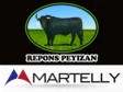 Haiti - Elections : Plan of Michel Martelly, candidate to the presidency