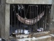 Haïti - Prisons : Au pays des grandes évasions...