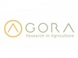 Haiti - Agriculture : FAO promotes access to scientific knowledge in Haiti