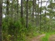 Haiti - Environment : UNESCO adds new biosphere reserve in Haiti