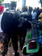 Haïti - FLASH : Des individus armés en treillis militaires près de l’Aéroport