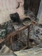 Haïti - FLASH : Des chrétiens incendient un temple vaudou