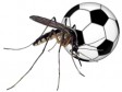 Haiti - Football : The FHF is frustrated, the Jamaica explains...
