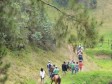 Haïti - FLASH : Opérations de spoliation dans une réserve écologique à Kenscoff