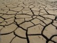 Haiti - Environment : Desertification gnaws the country...