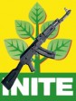 Haïti - Élections : La démocratie par les armes ?