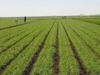 Haïti - Politique : Lancement d’une enquête nationale de la production agricole