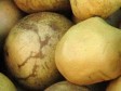 Haïti - Petit-Goâve : 5 membres d’une famille victimes d'un jus de chadèque empoisonné