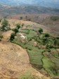 Haïti - Environnement : 20 millions pour protéger la bio-diversité et les bassins versants