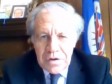 Haiti - Elections : Statement by the OAS General Secretariat