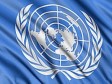 Haiti - Elections : Details on the support of the United Nations System