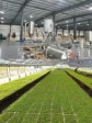 Haïti - Agriculture : Nouvelle zone Franche Agro Industrielle d'Exportation