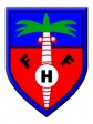 Haiti - Football : Big disappointment...
