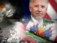 Haïti - FLASH : Jo Biden a inscrit Haïti sur la liste des pays de transit ou producteur de drogue