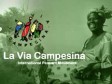 Haïti - Agriculture : 76 jeunes agriculteurs formés à l’agro écologie, rentre au pays...
