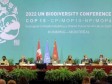 Haïti - Montréal COP15 : Haïti plaide pour la conservation de la biodiversité