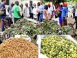 Haïti - Éducation : Distribution de produits locaux dans les cantines scolaires