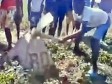 Haïti - FLASH : Des haïtiens tentent de déterrer une borne qui délimite la frontière entre la RD et Haïti (Vidéo)