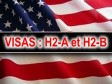 Haïti - FLASH : Visas H-2A et H-2B disponibles pour Haïti