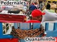 Haïti - FLASH : Marché binational de Dajabón fermé, celui de Pedernales ouvert !