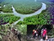Haïti - Social : 45,628 haïtiens ont bravé la mort en traversant la jungle du Darién en 2023