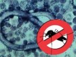 Haïti - Santé : Les États-Unis et Haïti veulent éradiquer la filariose lymphatique