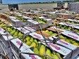 Haïti - Agriculture : Vers une reprise des exportations de mangues vers les USA ?