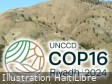 Haïti - COP16 Ryad 2024 : Positionnement du Ministère de l’Environnement