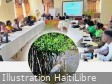 Haïti - Port-de-Paix : Vers une gestion intégrée de l’écosystème de mangrove de Haut-Fourneau