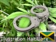 Haïti - Jamaïque : Saisie de 1,360 kg de marijuana, 2 haïtiens arrêtés