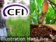 Haïti - Agro-industrie : Entre dépendance et souveraineté alimentaire