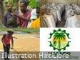 Haïti : Campagne agricole de printemps 2026, le Ministère renforce l’appui aux producteurs