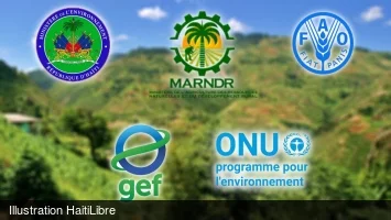 Restoring ecosystems to strengthen climate resilience in Haiti