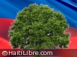 Haïti - Social : «Garder Haïti verte et belle»