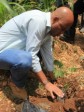 Haïti - Environnement : Le Président plante des arbres...