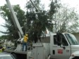 Haïti - Énergie : 15 des 32 circuits de l'EDH déjà opérationnels