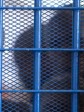 Haiti - Justice : Fight against pretrial detention