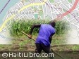 Haïti - Social : Célébration de la fête de l'agriculture et du travail à Doucette