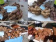 Haïti - Agriculture : Première Foire-Exposition sur la filière racines et tubercules