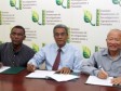 Haïti - Agriculture : L’IDIAF et la coopération taïwanaise appuient l'agriculture haïtienne